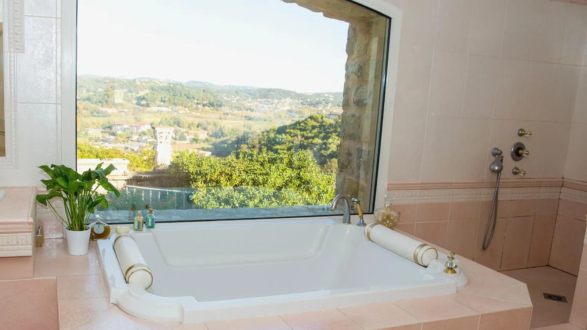 Cannes Mas Provencal Piscine 8 Personnes 350 M2 Pegomas